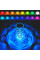 Нічник Crystal Rose Ambience 16-колірів RGB 19.5 см